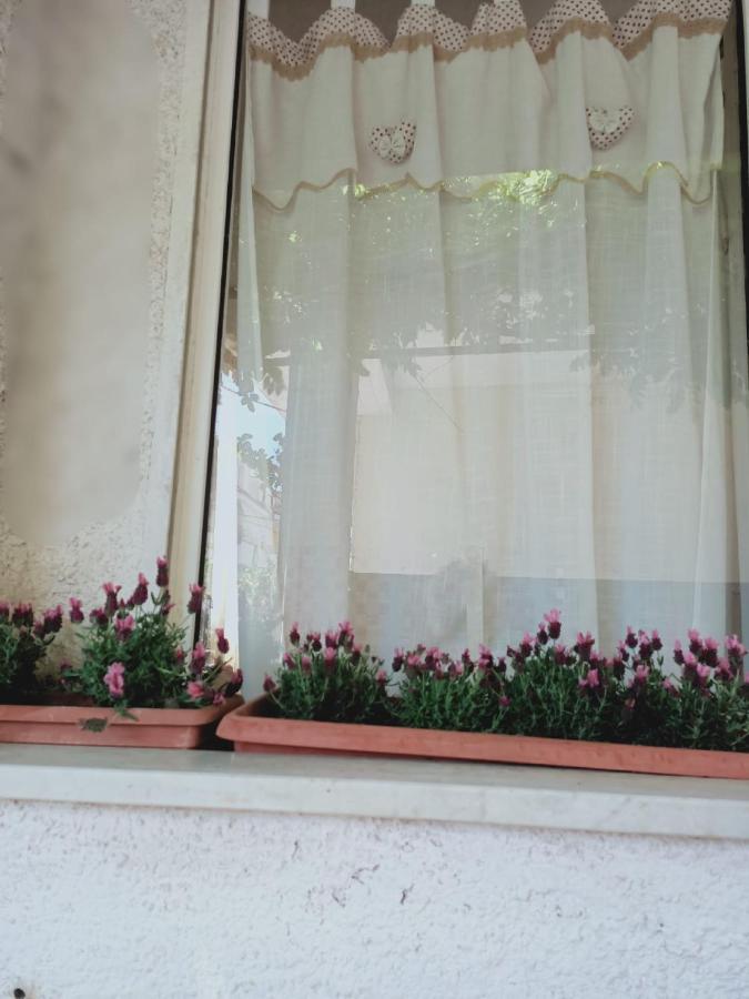 Casa Giardino * Scauri (Lazio)